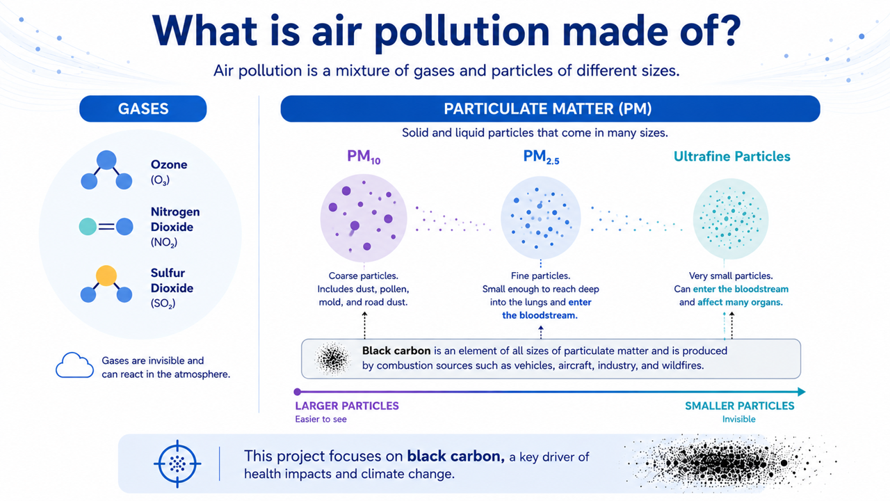 Diagram explaining gases, particulate matter, particle sizes, and black carbon